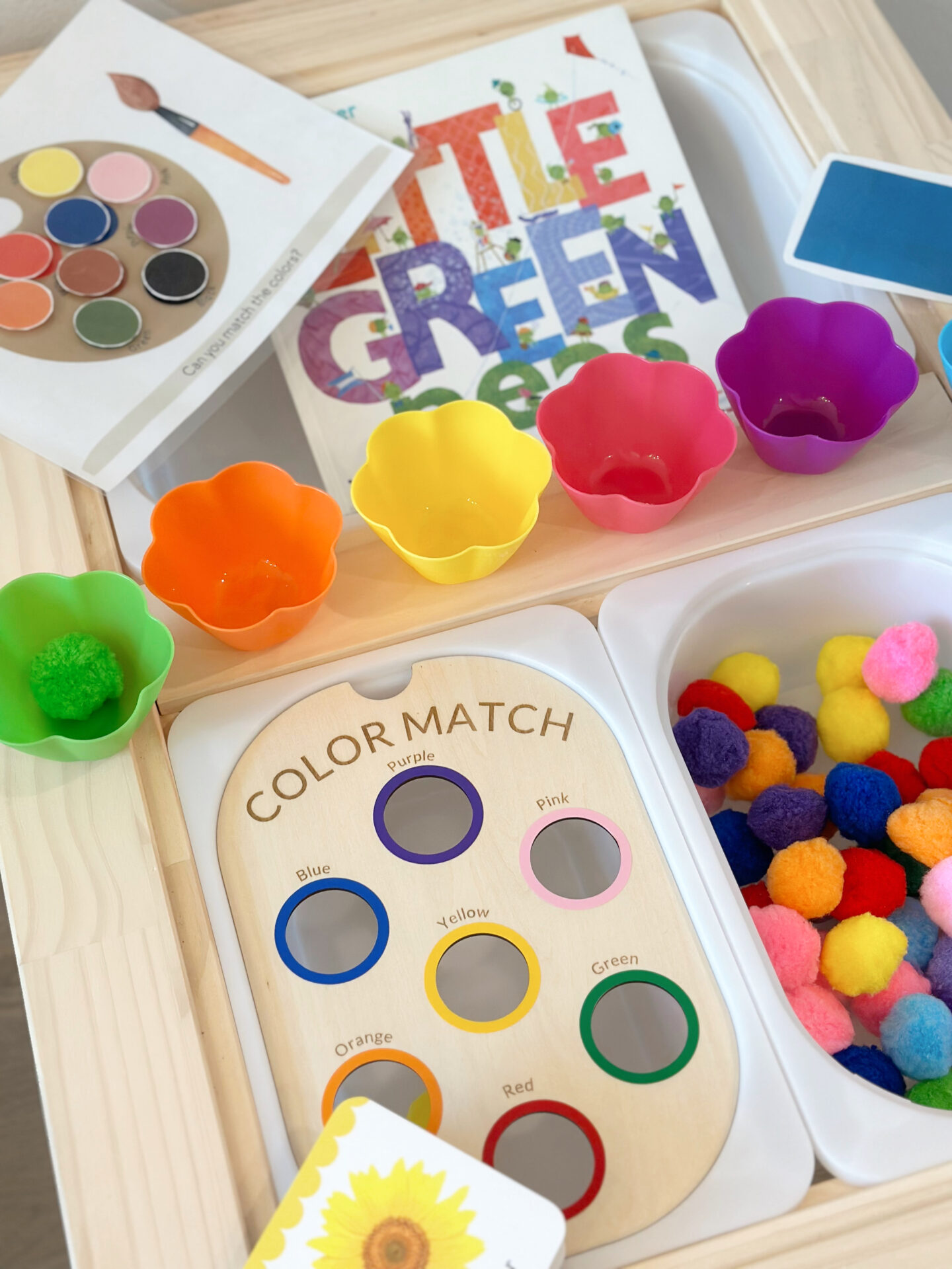 Color matching sensory activity