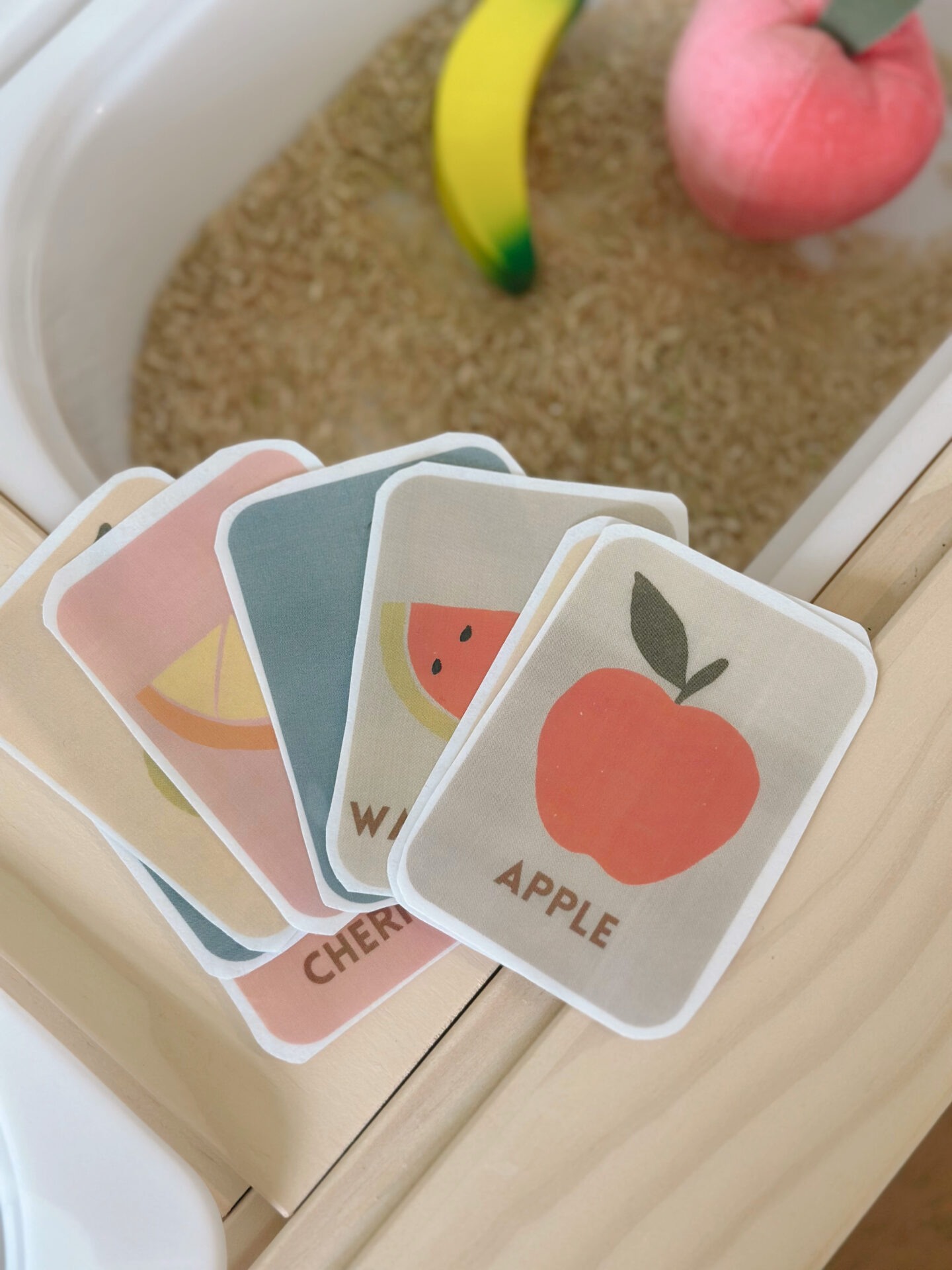 Styl'd Grace Blogger Brittainy Lemelle Etsy shop - in photo: fruit flash cards